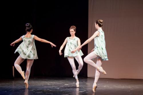 dkos baletni-studio-2014 baletni-kolaz 010