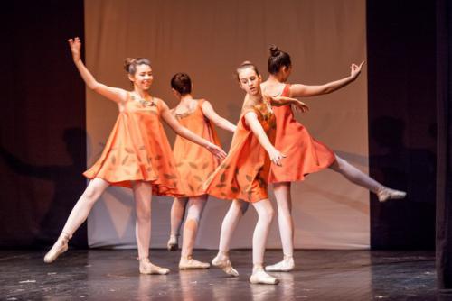 dkos baletni-studio-2014 baletni-kolaz 020