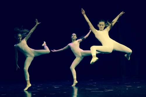 Nockazalista08 dup 161119