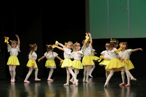 Početnica godišnja produkcija 2019