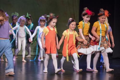 pocetnica 153 dup260518