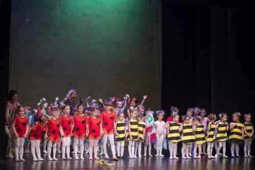 pocetnica 179 dup260518