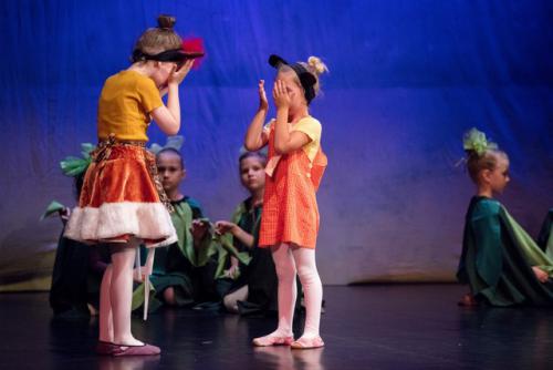 pocetnica 80 dup260518