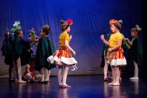 pocetnica 84 dup260518