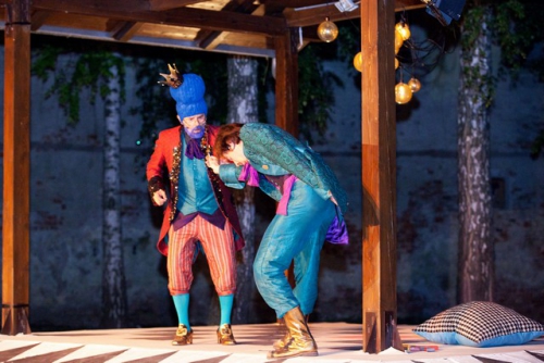 djecje kazaliste zar ptica 069