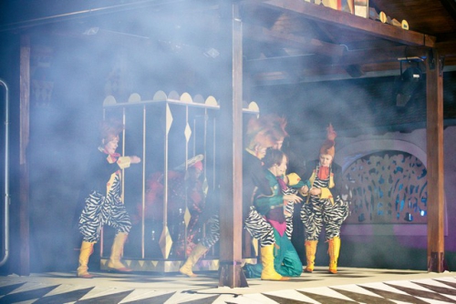 djecje kazaliste zar ptica 084