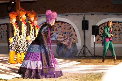 djecje kazaliste zar ptica 093