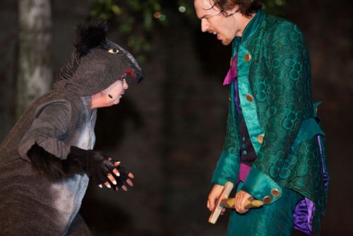 djecje kazaliste zar ptica 109