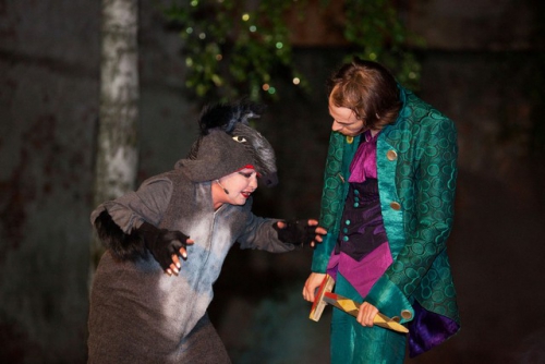 djecje kazaliste zar ptica 110