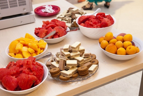 djecje kazaliste zar ptica 159